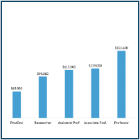salary report