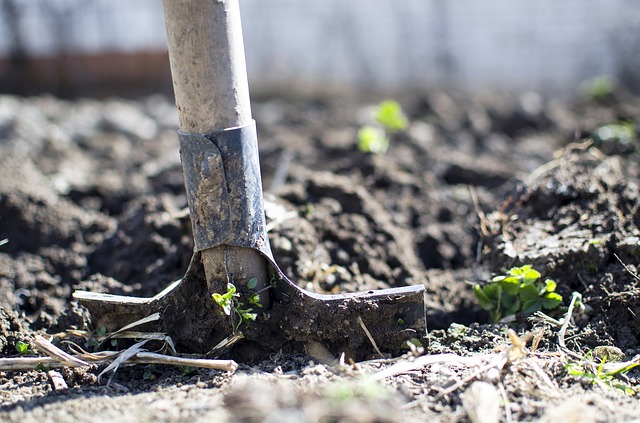 How engineers are helping to solve the global food crisis