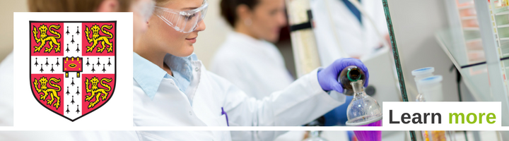 https://studypunk.com/program/ba-in-chemical-engineering-889894