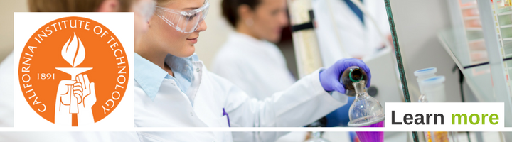 https://studypunk.com/program/undergraduate-program-in-chemical-engineering-894491