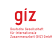 Logo for Deutsche Gesellschaft für Internationale Zusammenarbeit (GIZ) GmbH