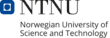 Logo for NTNU: Norwegian University of Science and Technology