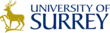 Logo for School of Economics, University of Surrey