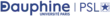 Logo for Université Paris Dauphine-PSL