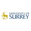 Logo for School of Economics, University of Surrey