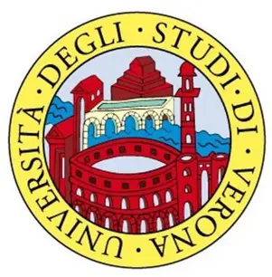 Assistant professor in Statistics, Economic Statistics or Mathematical Finance and Economics - University of Verona