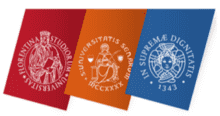 Logo for University of Siena - Department of Economics & Statistics