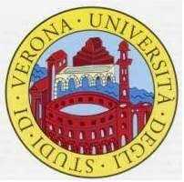 PhD in Economics and Finance, University of Verona, Italy (two more scholarships available)