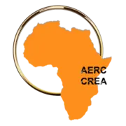 AERC Internship Programme
