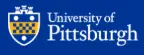 Visiting Teaching Assistant Professor - Public Policy