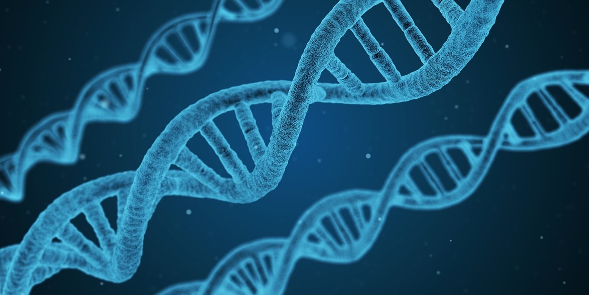 The future of genetic engineering