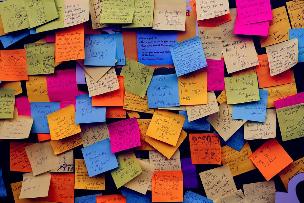 Essential Skills for the Future of IT