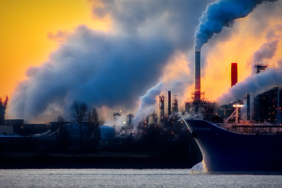The Economics of Climate Change