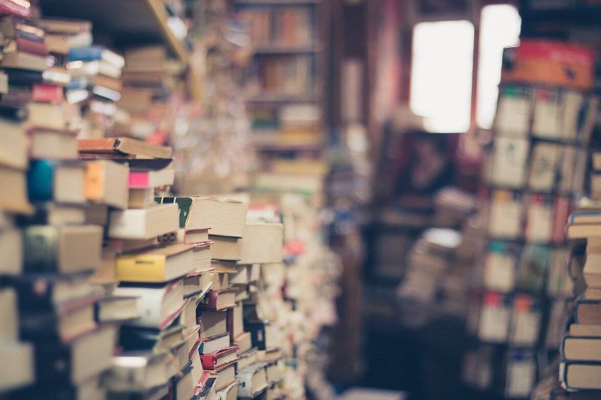 
          Top fiction books for economists
  