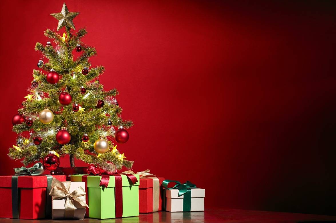 
          The Economics of Christmas
  