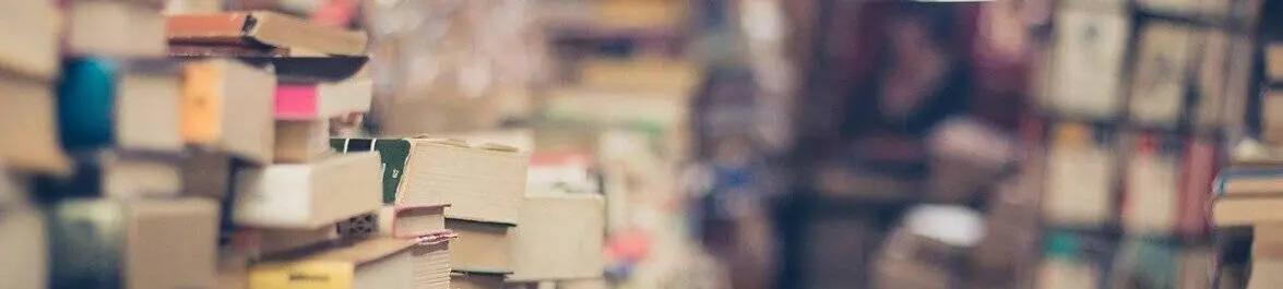 Top fiction books for economists