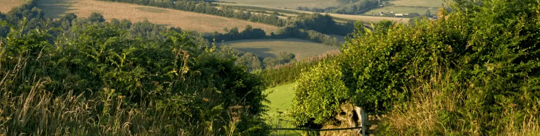 
          Top Tips for Applying to a UK or European PhD Program
  