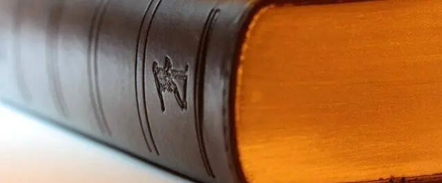 Top Career Paths: Economic Law