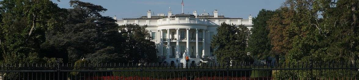 
          Working in the USA: How to apply for a work visa after graduation
  