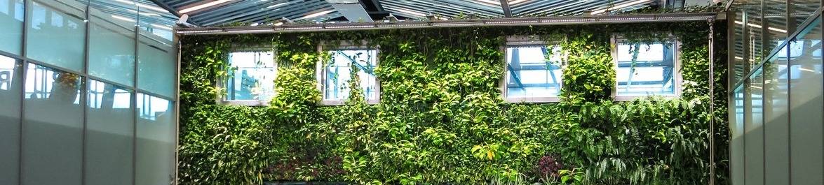 Top Sustainable Home and Building Engineering Design Trends