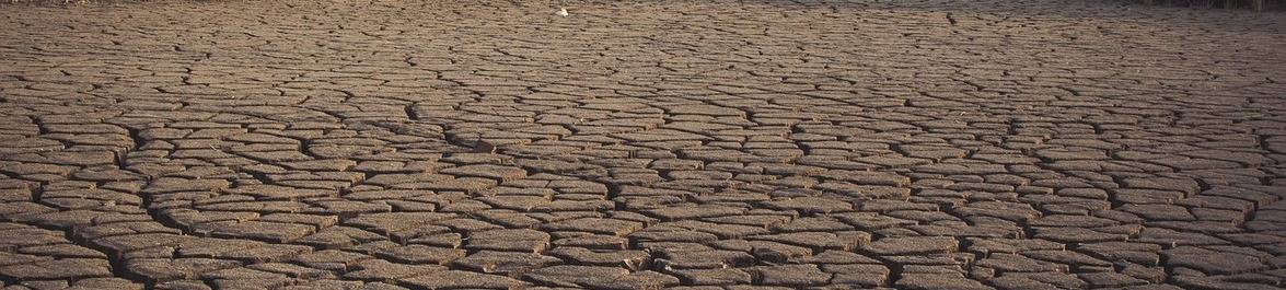 The Future of Water: Engineering Contributions to Water Management