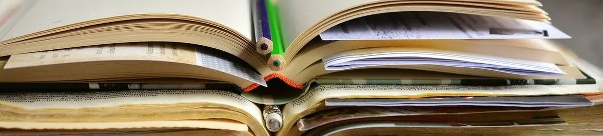 Economics Degree vs Public Policy Degree: Which Masters to Choose