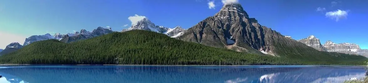 
          Top Universities for Environmental Engineering in Canada
  