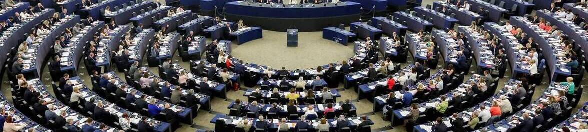 Opportunity to Provide Expertise at the European Parliament - Interview with Alexandre Mathis