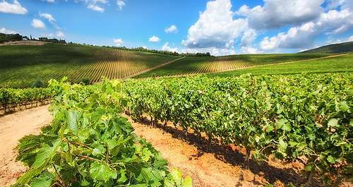 Why Study in Italy? 5 Reasons to live La Dolce Vita