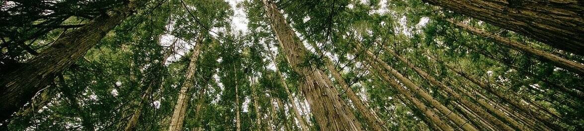 
          The Best Books on Environmental Economics
  