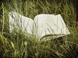 Top 10 Economics Summer Schools 2012