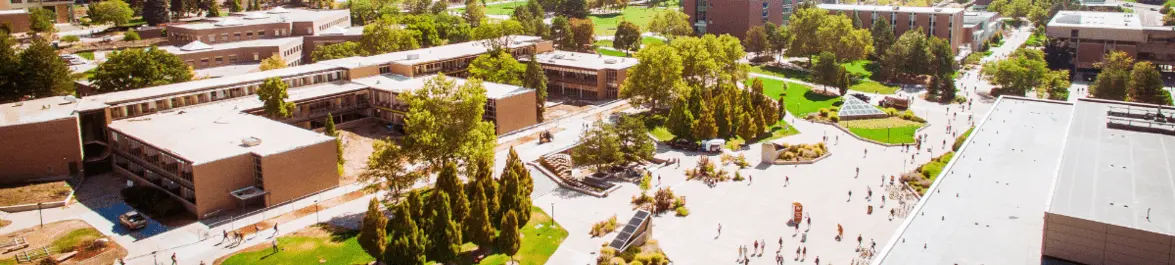 Top 10 Tips to Build a University Brand Online