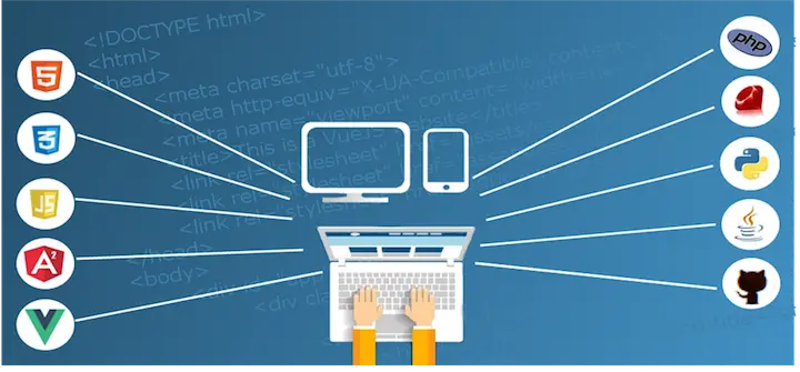 Which Programming Language Should You Learn?
