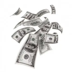 Can you sell a $20 Bill for $200?