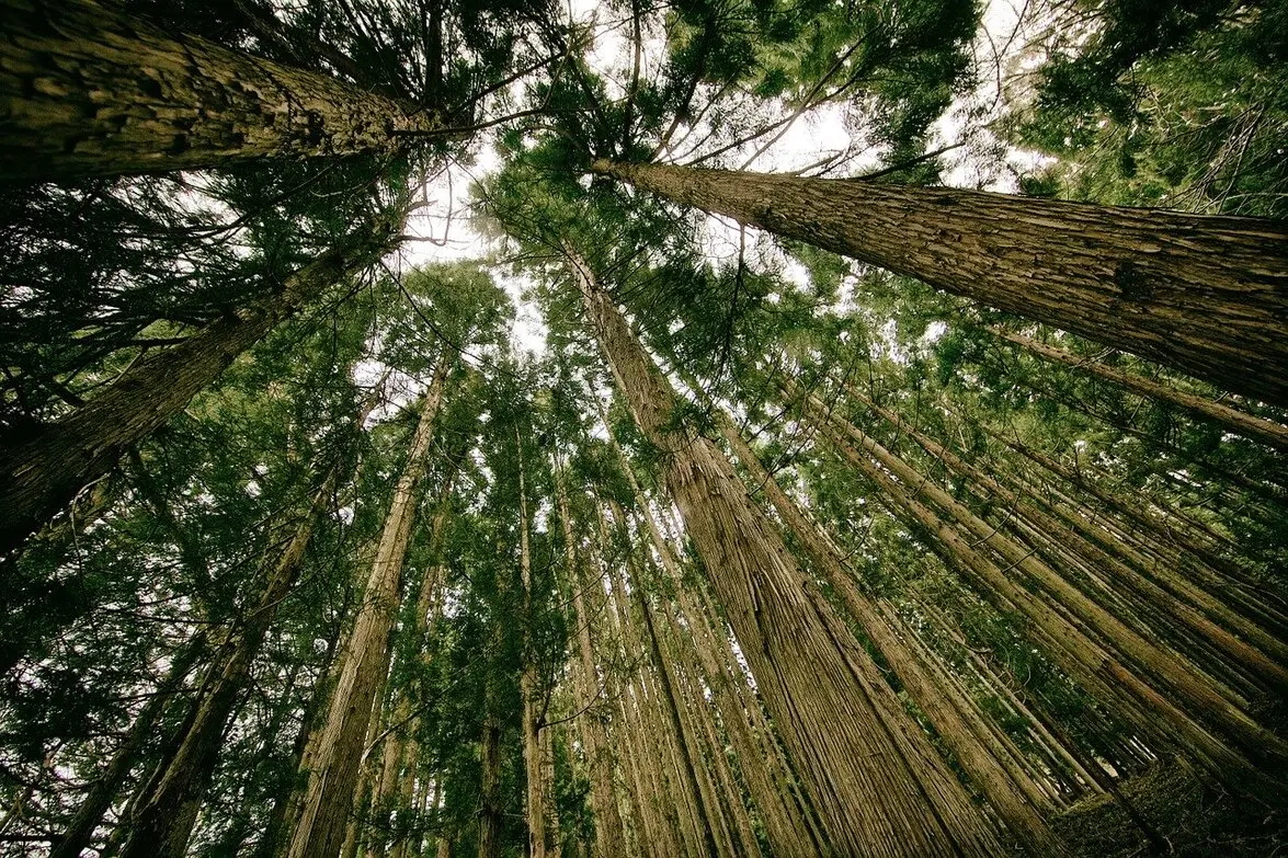 The Best Books on Environmental Economics