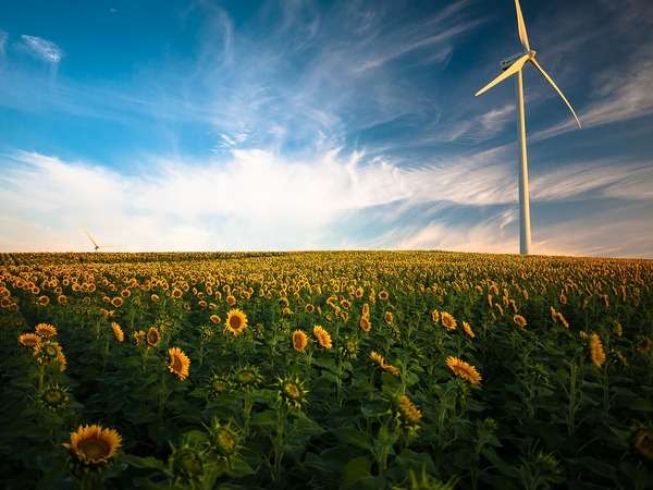 top-13-where-do-environmental-engineering-work-in-2022-thaiphuongthuy