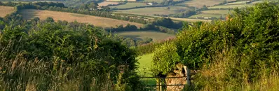 Top Tips for Applying to a UK or European PhD Program