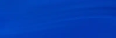 Institute for Economic Research and Policy Consulting (IER)