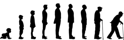 Overlapping Generations (OLG) Model