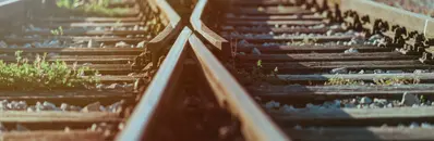 Should I Choose an MBA Concentration? - Pros & Cons