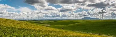 Top 10 Best Gifts for Environmental Engineers
