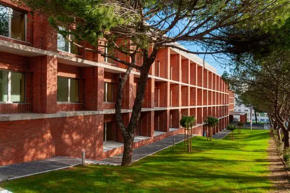MSc in Economics